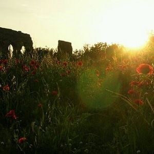 Meet your Posher, Kristin